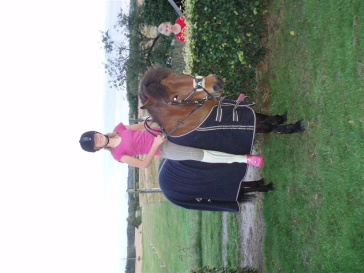 Islænder soya billede 11