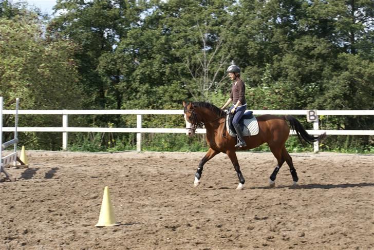 Anden særlig race Natasja i ridning solgt billede 8