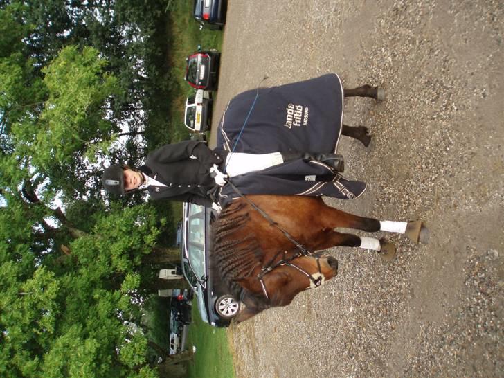 Islænder soya billede 13