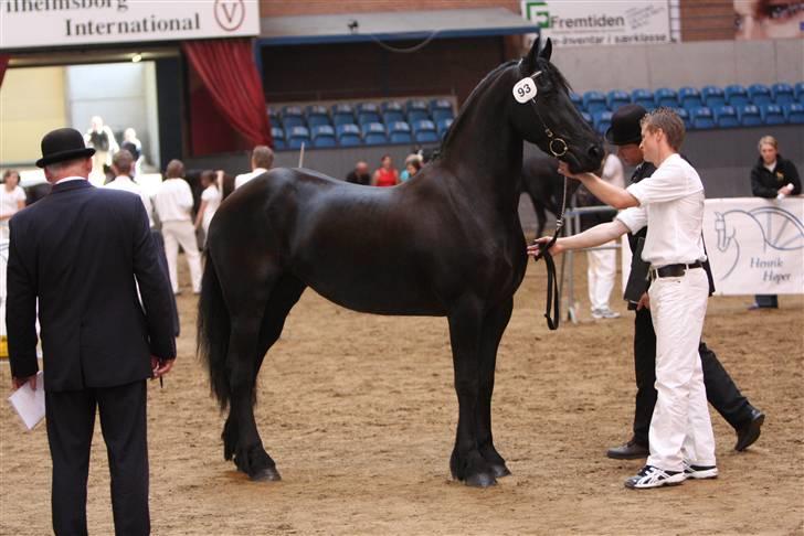 Frieser Sytske f Woltefreden STER billede 18