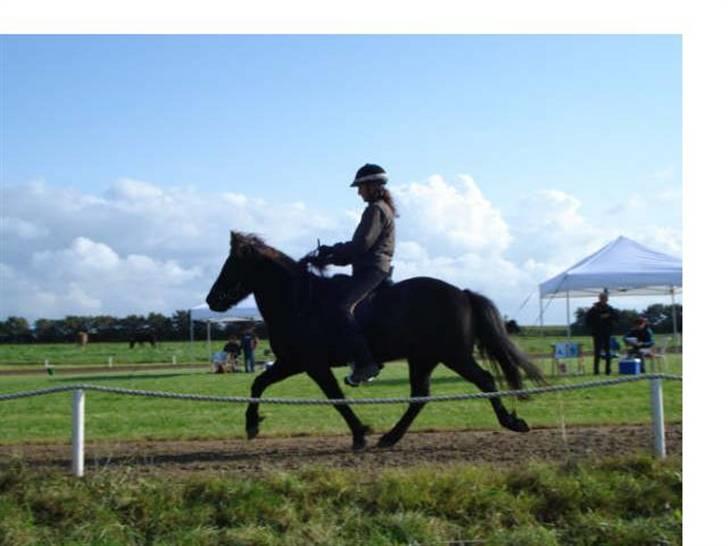 Islænder Vikingur fra Sejershøj - Snegla Open 98 T.5 billede 10