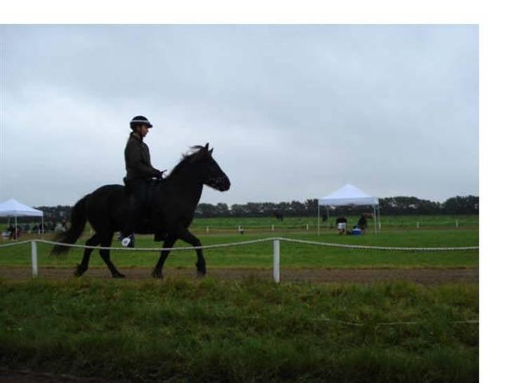 Islænder Vikingur fra Sejershøj - Snegla Open 08 billede 11