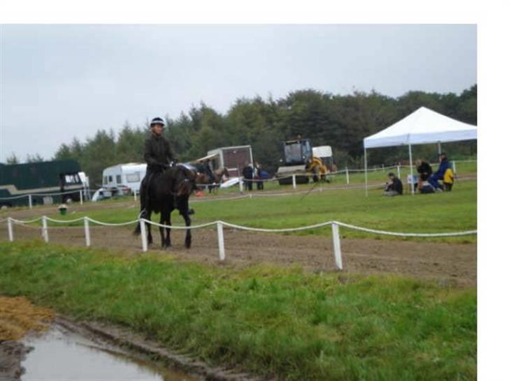 Islænder Vikingur fra Sejershøj - Snegla Open 08 billede 12