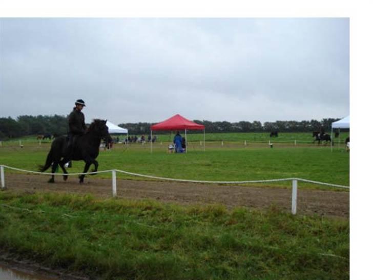 Islænder Vikingur fra Sejershøj - Snegla Open 08 billede 13