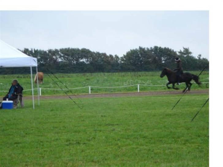 Islænder Vikingur fra Sejershøj - Snegla Open 08 billede 14
