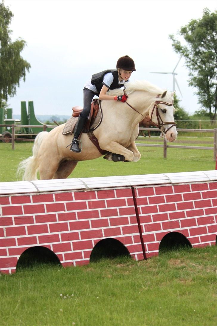 Welsh Pony af Cob-type (sec C) Rosengårdens Nakuma - 15# Louise & Nakuma på kursus - muren er 105cm høj! :) D. 4/7-10. Foto: Mig billede 15