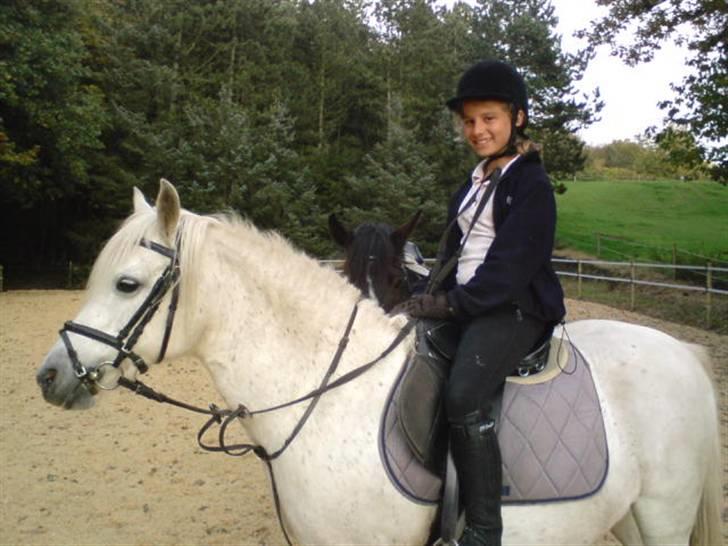 Anden særlig race Shah Noir's Shana bey - en dag min lillesøster var ude og ride på shana. billede 3