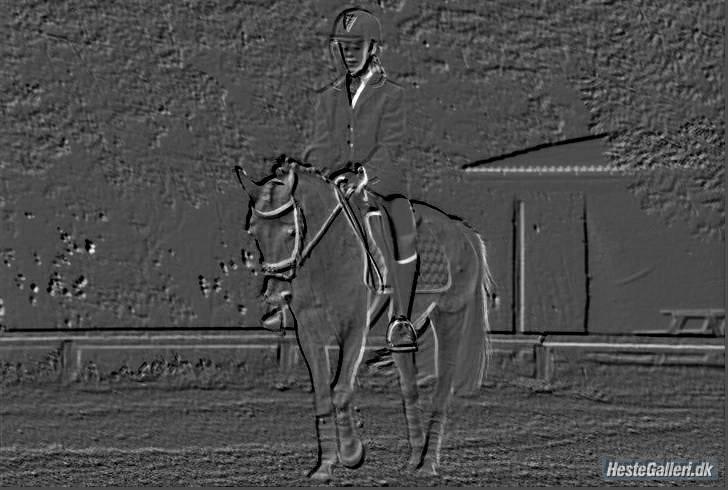 DSP ottelia billede 18