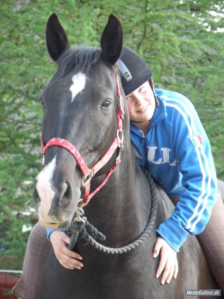 Dansk Varmblod Lady Hunter  - Elsker ham<333 billede 5