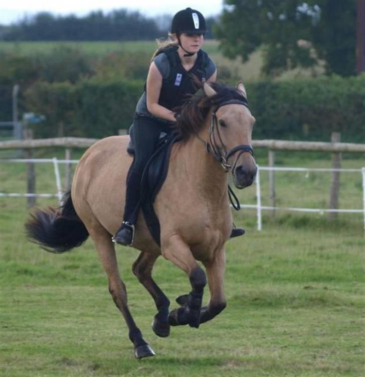 Anden særlig race Lydia billede 1