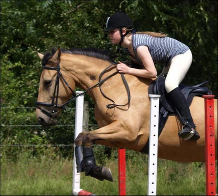 Anden særlig race Lydia billede 2