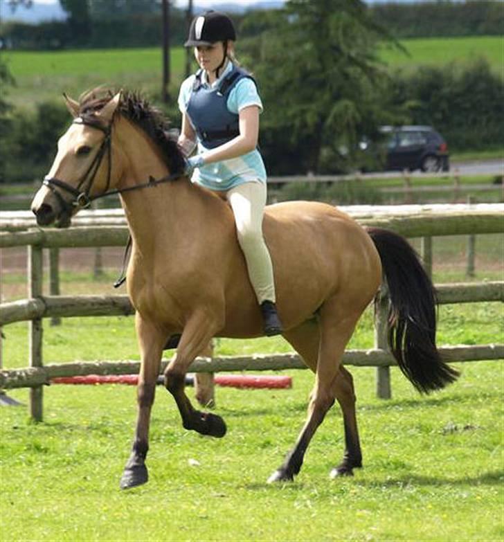 Anden særlig race Lydia billede 3