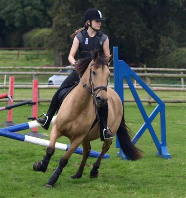 Anden særlig race Lydia billede 4