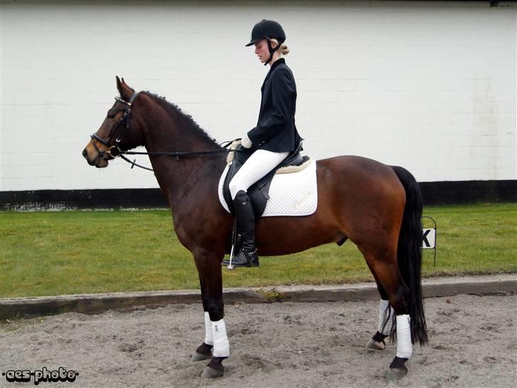 DSP Ibrahim billede 9