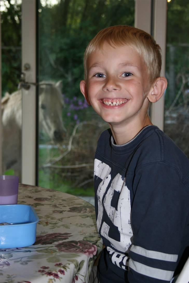 Anden særlig race Cirkeline - SOLGT billede 17