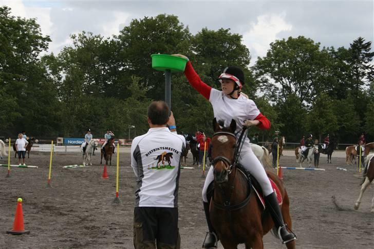 DSP Marengo - SOLGT :'( :'( - DM i ponygame 08  billede 13