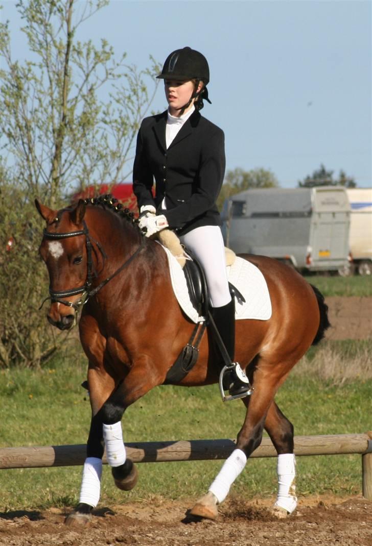 DSP Marengo - SOLGT :'( :'( - LB1 i Skærbæk. Eneste 2´er pony, resten 1´er ponyer og vandt med 74,?? procent<3 Annemette er fotograf<3  billede 14