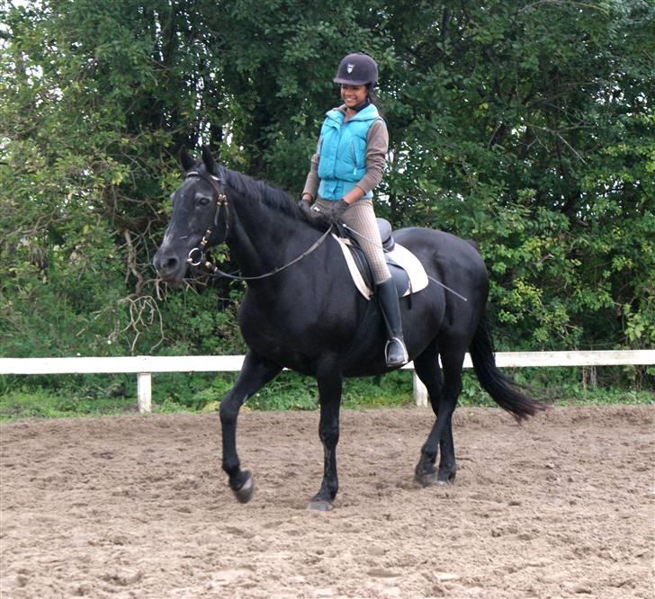 Anden særlig race Monique. Passer ikke mere - Monique og mig er ude og ride <3<3<3<3 billede 18