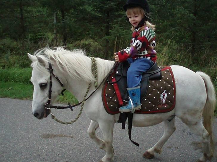 Anden særlig race Prins Kaj billede 6
