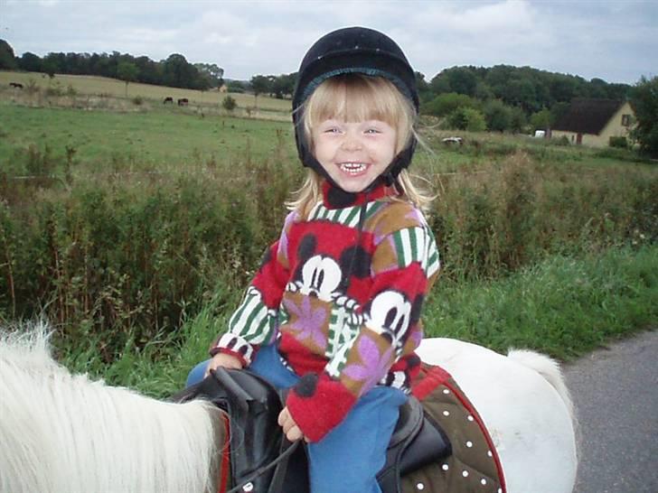 Anden særlig race Prins Kaj billede 7