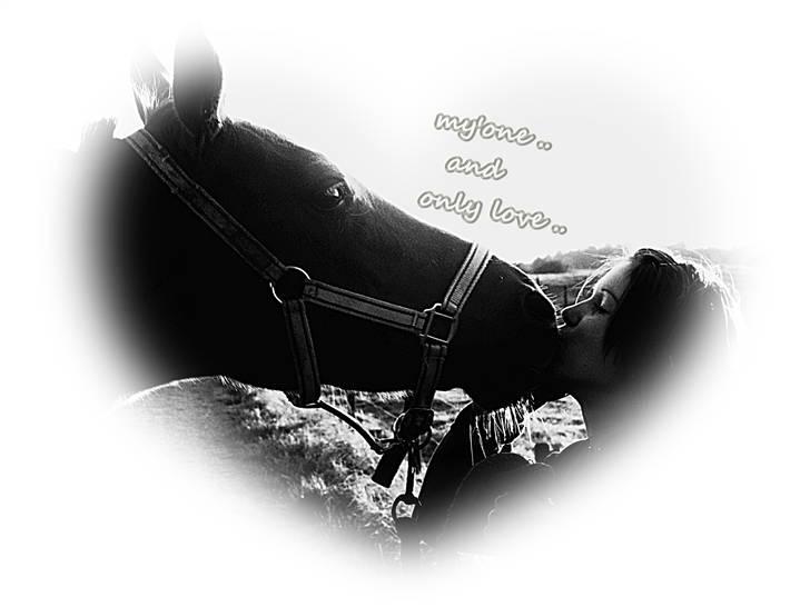 DSP Firhøjs Nobi - min engel - ´da jeg så dine øjne, så jeg kærlighed ..  billede 17