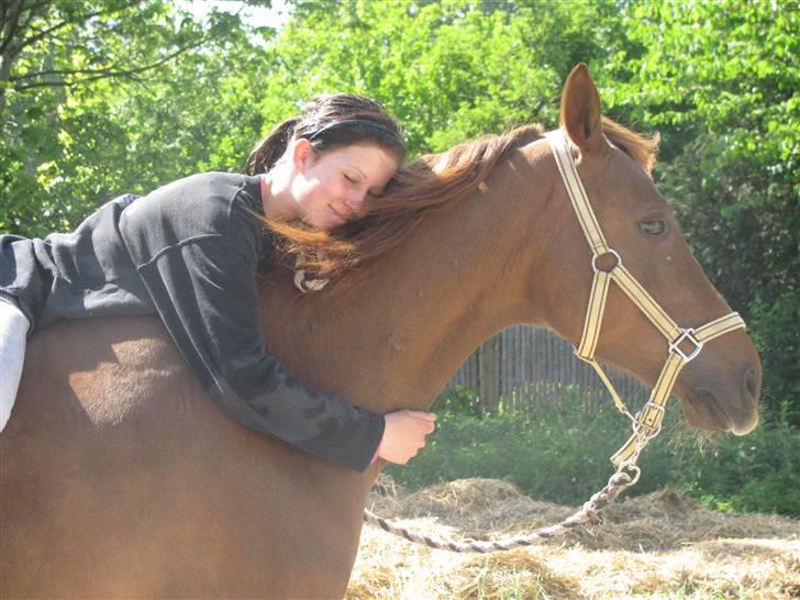 DSP Firhøjs Nobi - min engel - ´når vi en dag ses igen .. <3 ´ så er jeg i himlen ..  billede 19