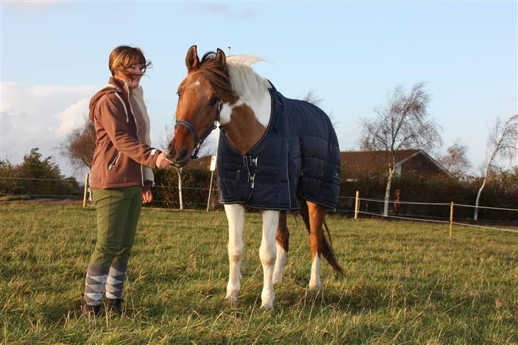 Anden særlig race Mr. Jones R.i.p d.14 jan. - Jones og jeg <33  - Foto: Barløse Foto billede 3