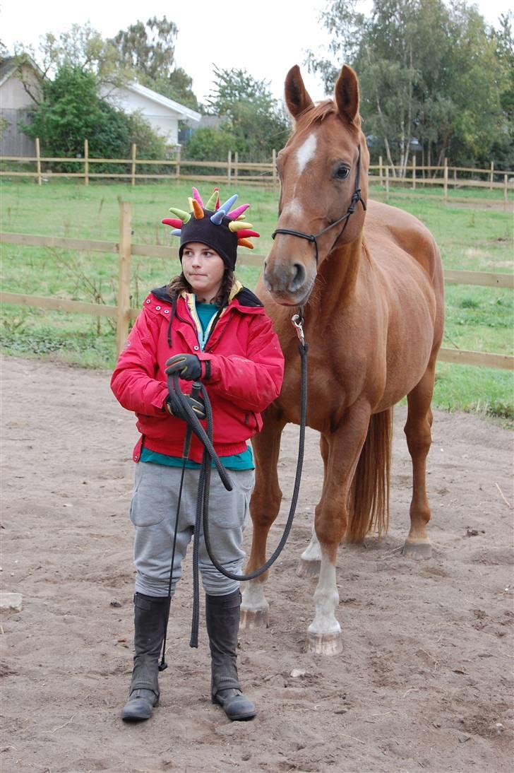 Hannoveraner Dialekt - 4) "Der er noget ved at ride ned af gaden på en dansende hest, som får en til at føle sig som noget, selv når man slet ikke er nogen." - Will Rogers billede 4