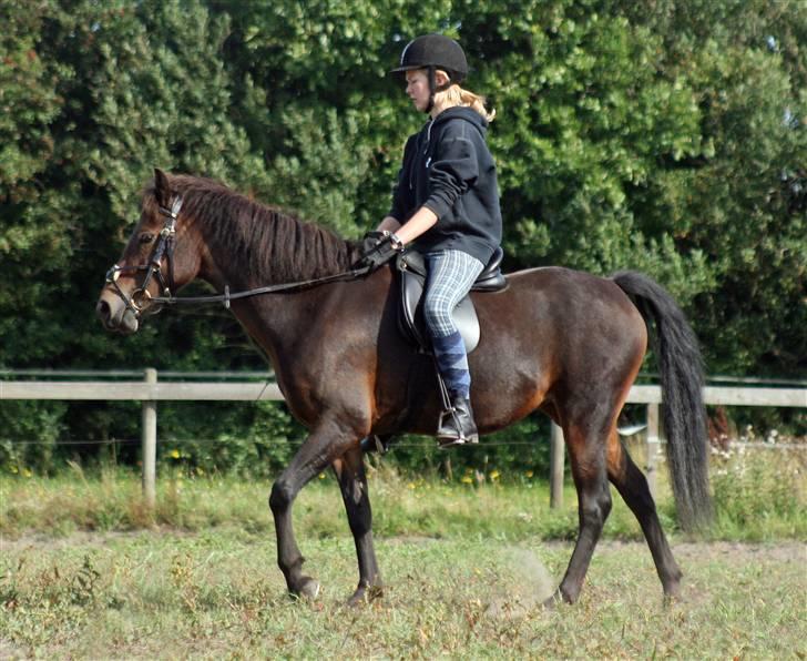 Anden særlig race Søndergårds Stjerne - August 09. Fotograf: Røsle Dyre billede 12