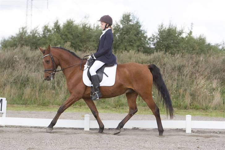 Anden særlig race starappeal billede 11