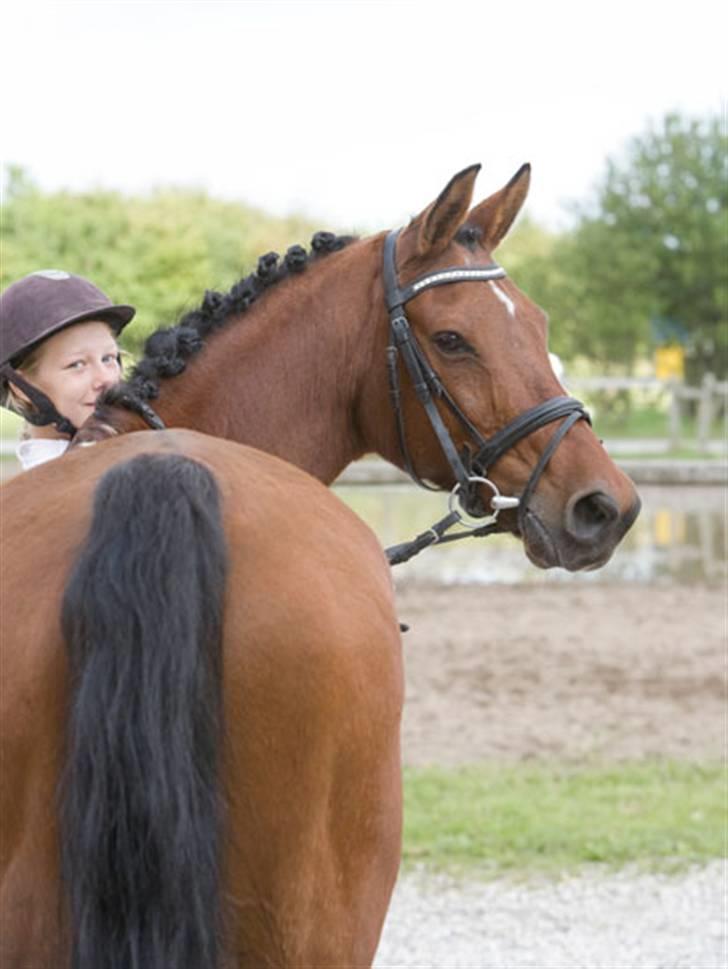 Anden særlig race starappeal billede 12