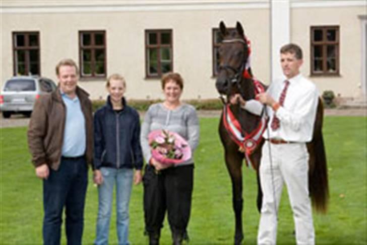 Dansk Varmblod Esandri billede 18