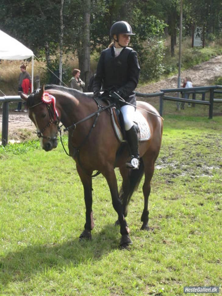Tysk Sportspony Pamina - Det skønneste egern<3 - 1. plads BIG - 2009. billede 6