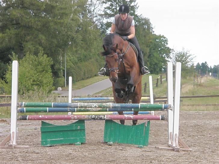 Oldenborg Baldrian (balder) - Springtræning med Cathrine billede 20