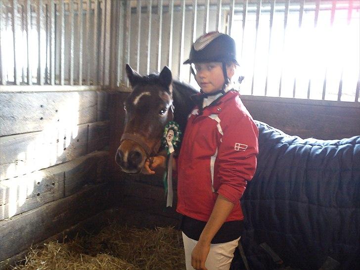 Dartmoor fernando solgt billede 13