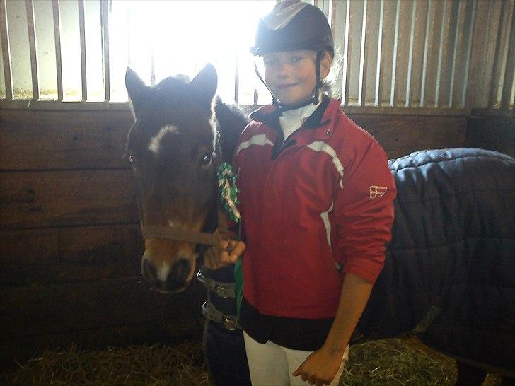 Dartmoor fernando solgt billede 14