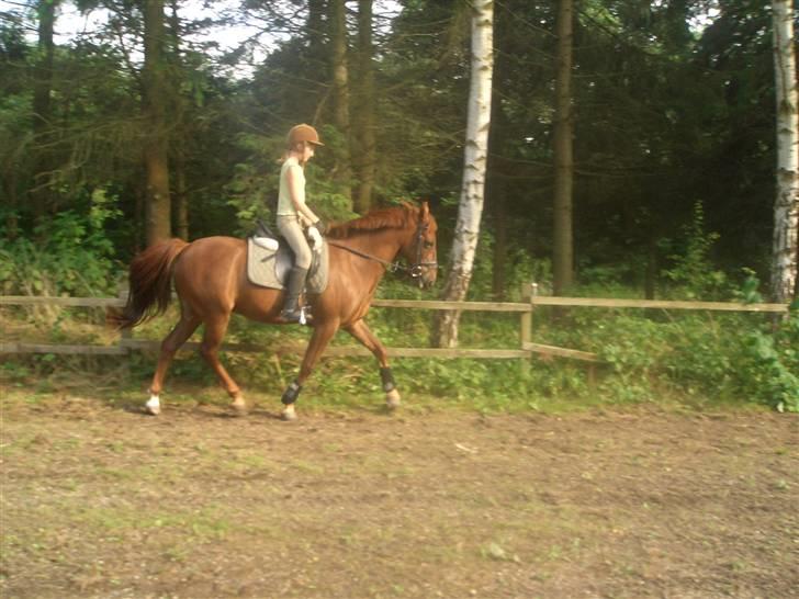 DSP zeus<3 (min egen) - ny klippet man hehe foto:mor billede 11