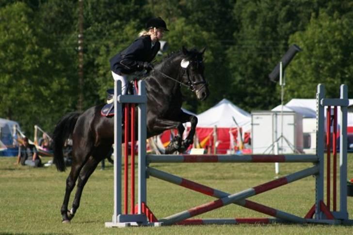 Tysk Sportspony Petit Cyrenaika solgt billede 13