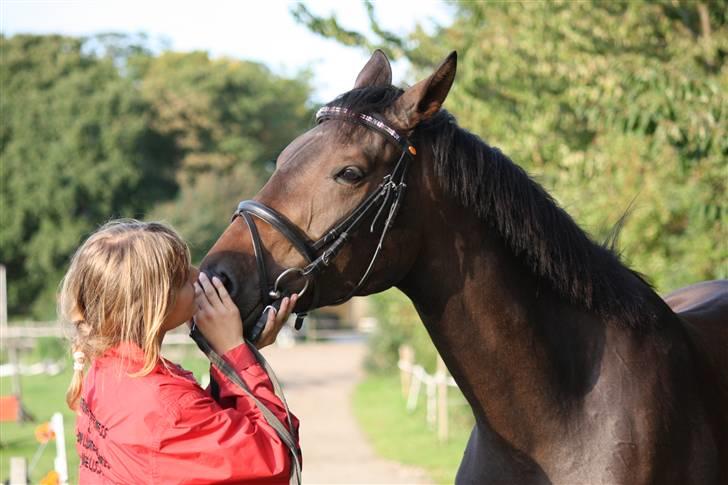 Dansk Varmblod Lykkesborgs Sydney  - mig og Syndney <3: Crillo billede 2