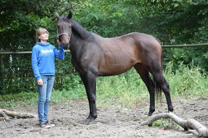 Dansk Varmblod Lykkesborgs Sydney  - Mig og Sydney .. Foto: Crillo billede 3