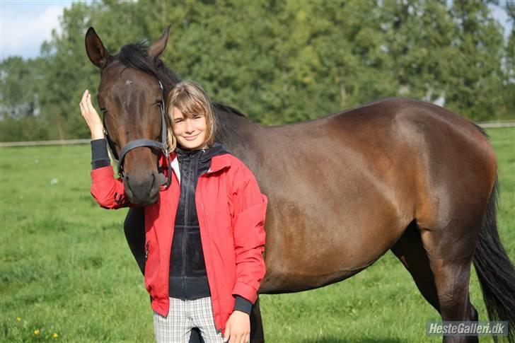 Dansk Varmblod Lykkesborgs Sydney  - Mig og den Sydney :) Foto: Crillo billede 5