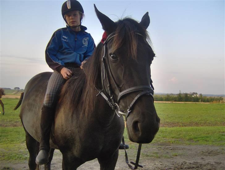 Traver gutta bee # R.I.P # - skriter af :-) billede 2