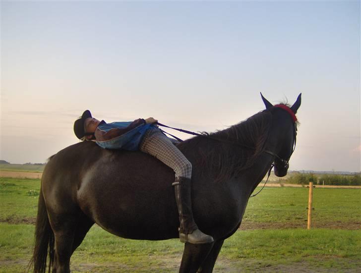 Traver gutta bee # R.I.P # - jeg slapper af på gutta billede 3