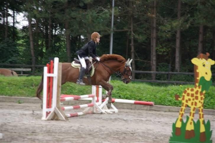 DSP zeus<3 (min egen) - Spring på epona <33 billede 12