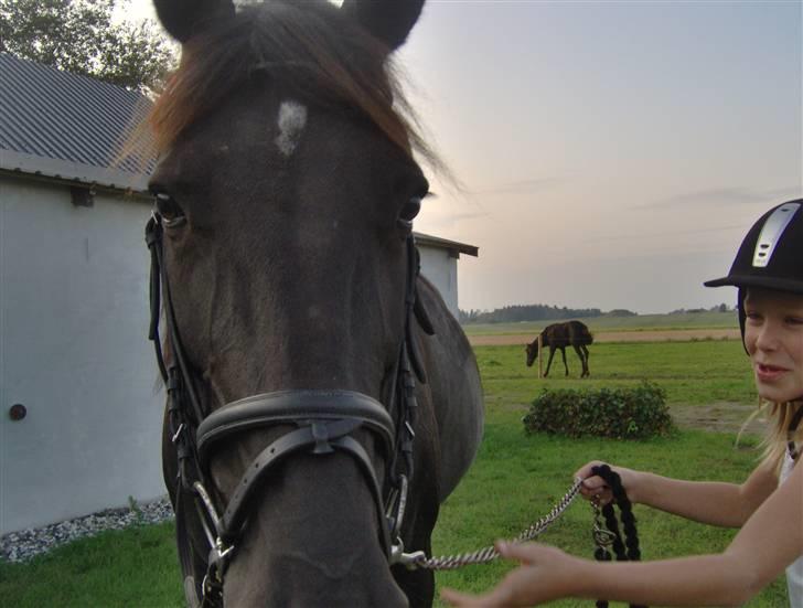 Traver gutta bee # R.I.P # - her skal min lillesøster til at op på gutta billede 5