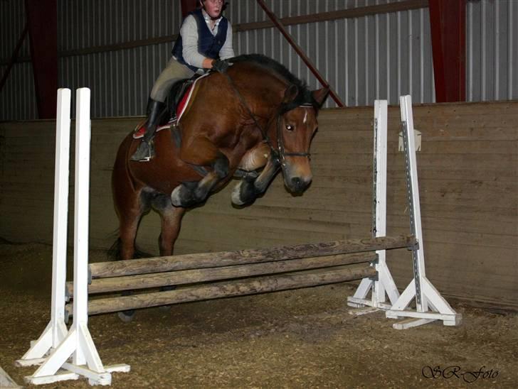 Anden særlig race Tulle *Gammel part* - Nyt! billede 16