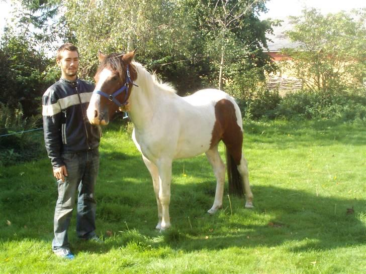 Anden særlig race Pepsie - Fyren der står ved siden af Pepsie er 181 cm høj billede 10