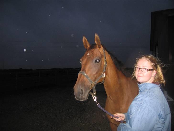 Dansk Varmblod Møllens Lady Like - proever at holde masken.. total trist aften.. silana blev aflivet naeste moegen billede 19