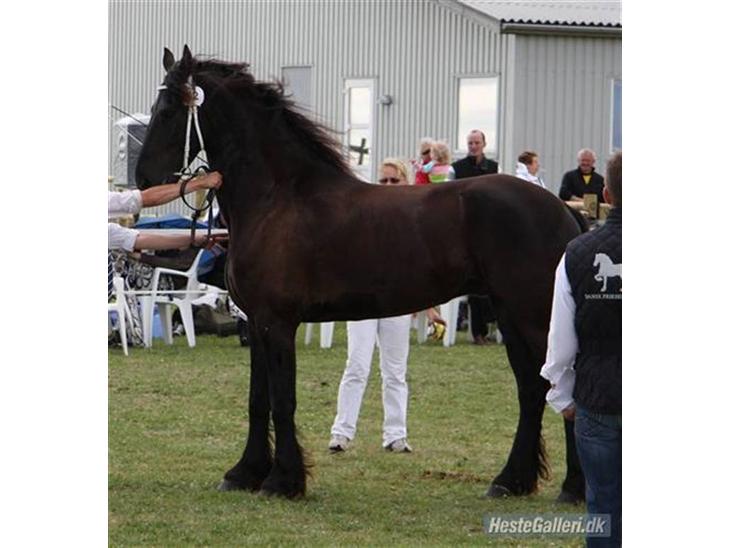 {{currentPhoto.altText}} billede {{currentPhoto.number}}