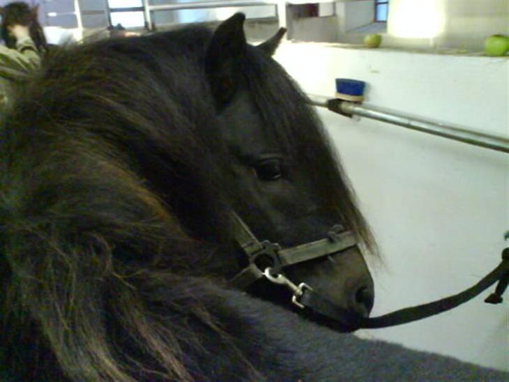 {{currentPhoto.altText}} billede {{currentPhoto.number}}